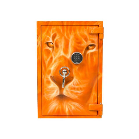 Рисунок на сейфе FERRIMAX 